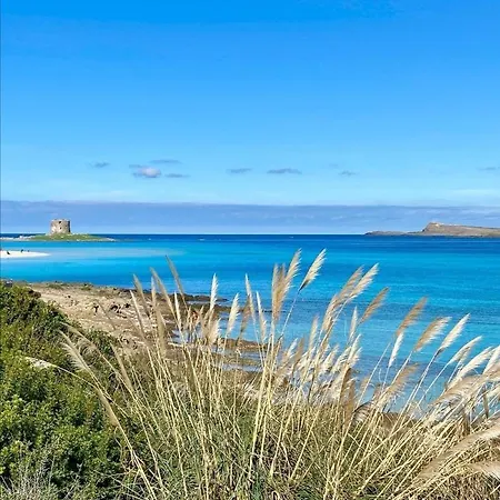 Bellavista
